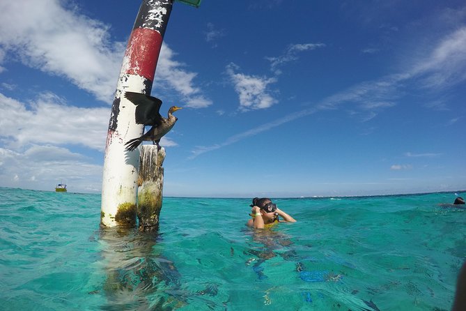 Cancun Adventure: Reef Snorkeling & Parasailing Experience - Two Cancun activities from one marina