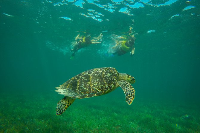Cancun Adventure: Reef Snorkeling & Parasailing Experience - Parasailing above the Caribbean