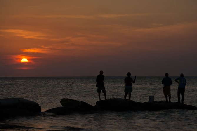 Cancun Airport to Holbox Transportation Private - The final golf-cart ride to your hotel