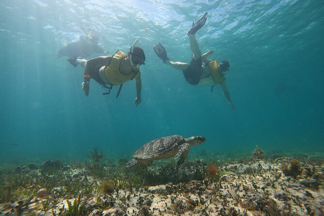 Cancun All Inclusive Catamaran Tour to Isla Mujeres - Starting at Marina Cun Maran in Cancun