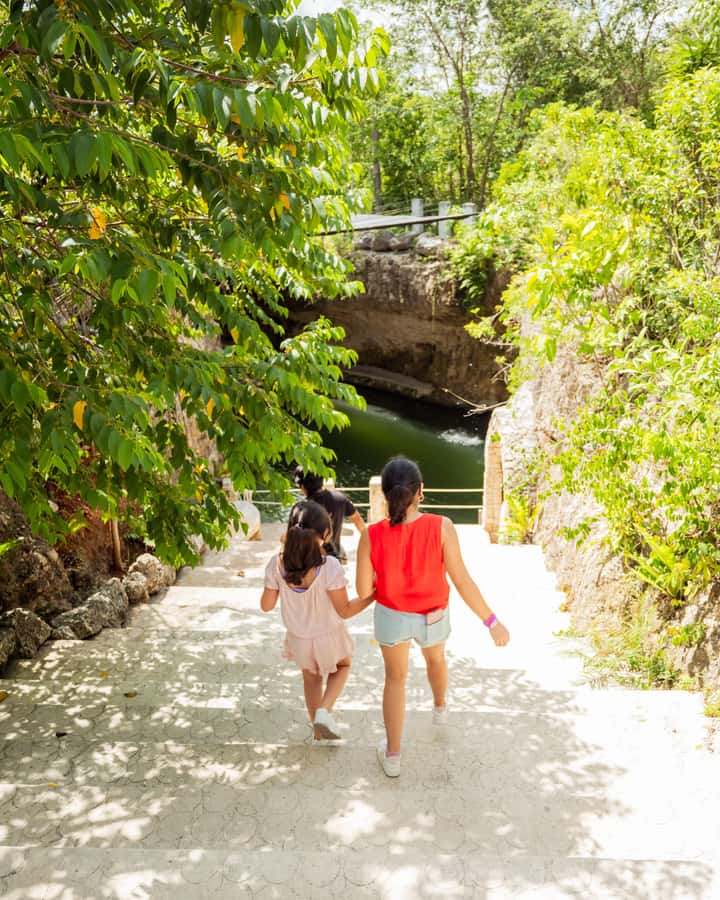 Cancun: Cenotes El Retoño entrance with transportation, lunch, and guided tour. - Pools, hammocks, and one hour of free time