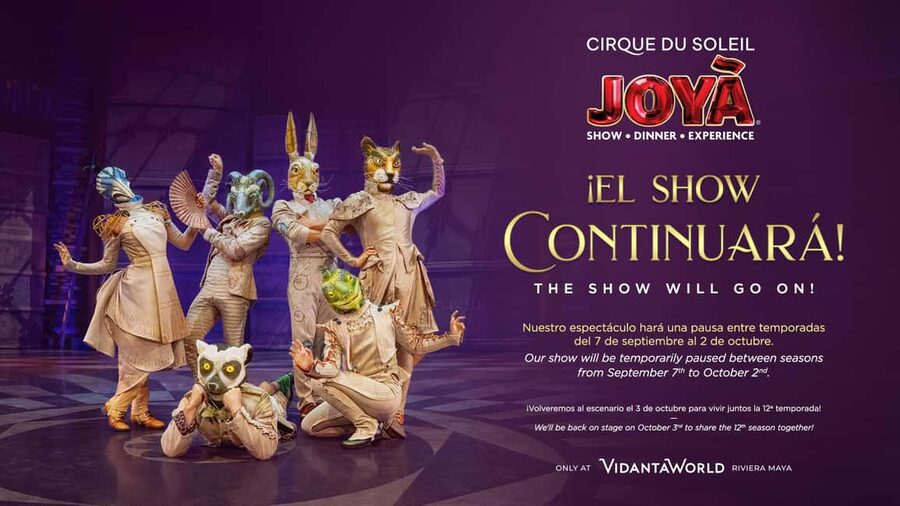 Cancún: Cirque du Soleil JOYÀ Show Ticket - Choosing Between the Four Packages