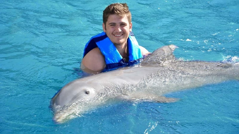 Cancún: Dolphin Encounter on Isla Mujeres with Buffet - Key points at a glance
