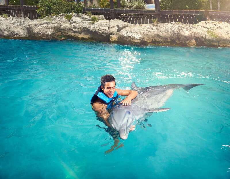 Cancún: Dolphin Encounter on Isla Mujeres with Buffet - Leaving Cancún from Playa Langosta at 9:00 AM