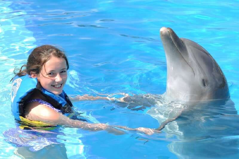 Cancún: Dolphin Encounter on Isla Mujeres with Buffet - How much dolphin time will you actually get?