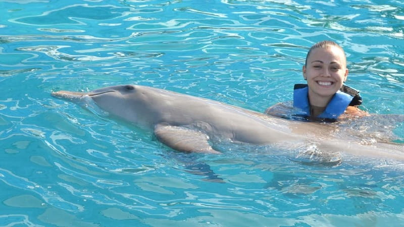 Cancún: Dolphin Encounter on Isla Mujeres with Buffet - Meeting the dolphin from a standing platform