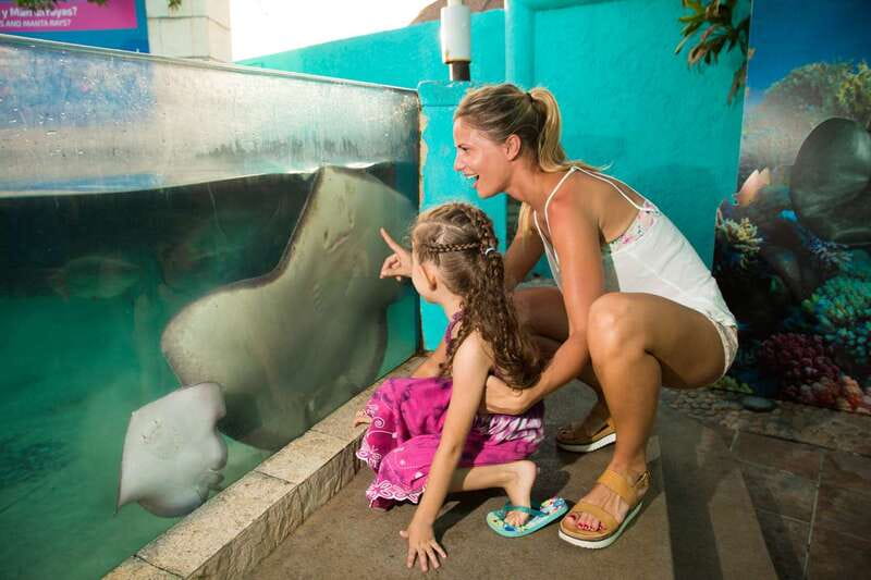 Cancún: Interactive Aquarium Admission - Key points at a glance