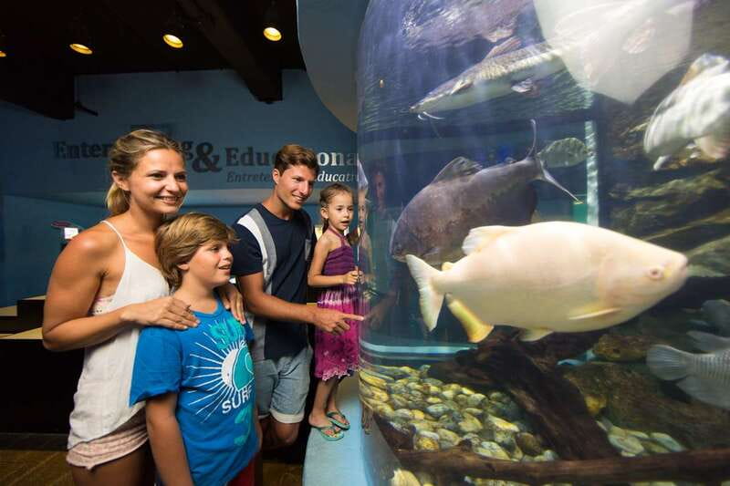 Cancún: Interactive Aquarium Admission - Entering through Plaza La Isla Shopping Center