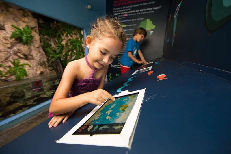 Cancún: Interactive Aquarium Admission - Why the touch tanks matter