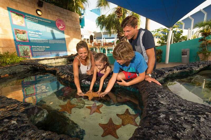 Cancún: Interactive Aquarium Admission - The axolotl exhibit and iPad zone