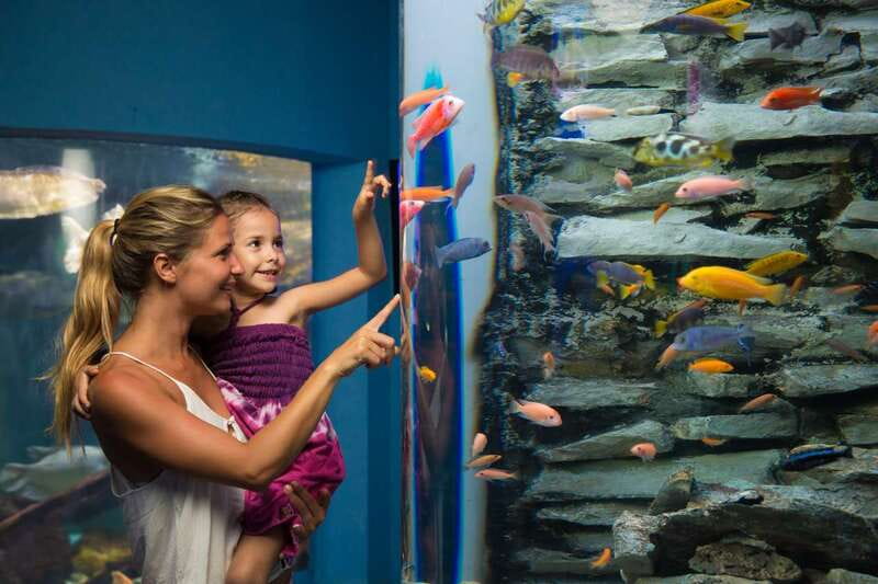 Cancún: Interactive Aquarium Admission - How much time should you allow?