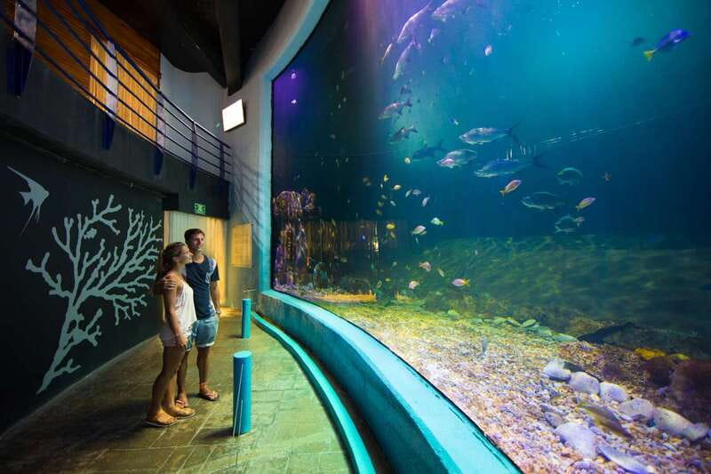 Cancún: Interactive Aquarium Admission - Food, photos, and extra costs