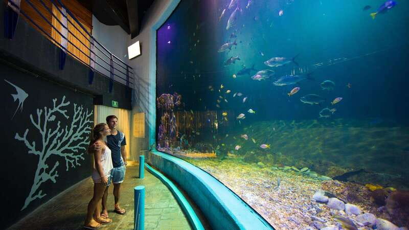 Cancún Interactive Aquarium Admission + Dolphin Presentation - What the $26 admission really includes