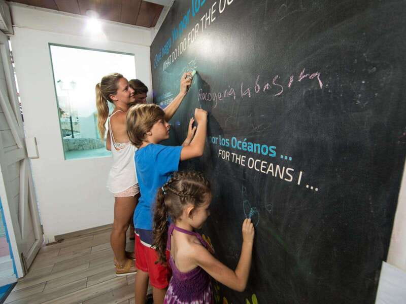 Cancún Interactive Aquarium Admission + Dolphin Presentation - Why the shopping-center setting can be useful