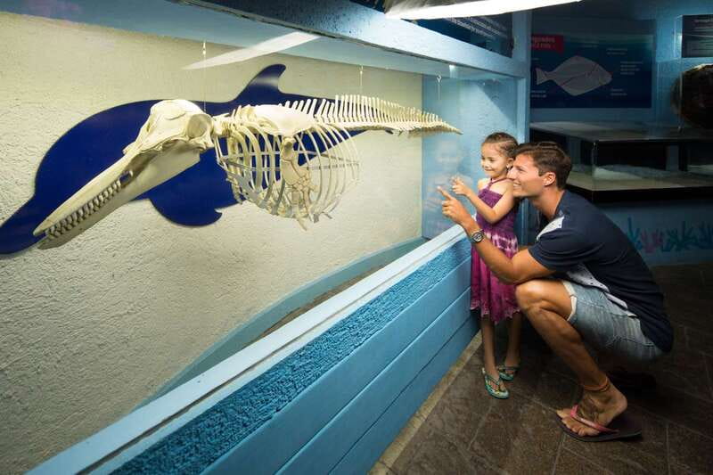 Cancún: Interactive Aquarium Admission - The fish tanks: 1,195 specimens in a compact setting