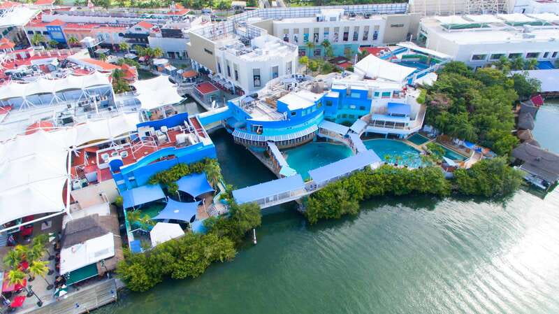 Cancun: Interactive Aquarium - Swim with Dolphins Splash - Meeting the dolphins inside Plaza La Isla