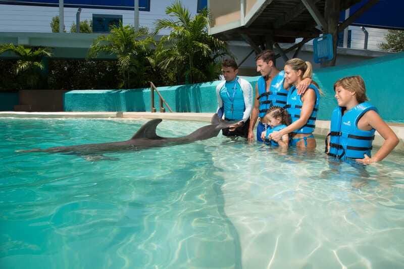 Cancun: Interactive Aquarium - Swim with Dolphins Splash - Photos, phones, and the extra-cost decision