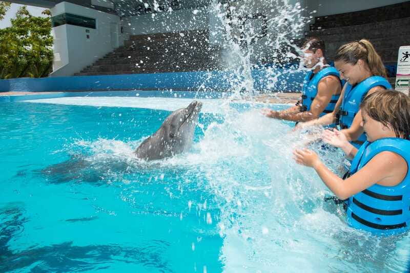 Cancun: Interactive Aquarium - Swim with Dolphins Splash - Practical preparation for the water