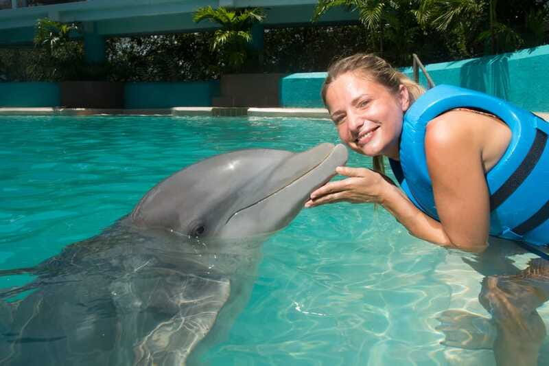 Cancun: Interactive Aquarium - Swim with Dolphins Splash - How it compares with a standard dolphin show