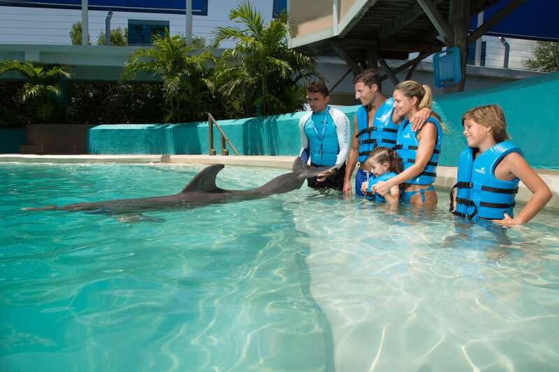 Cancun: Interactive Aquarium - Swim with Dolphins Splash - What happens during the 35-minute program