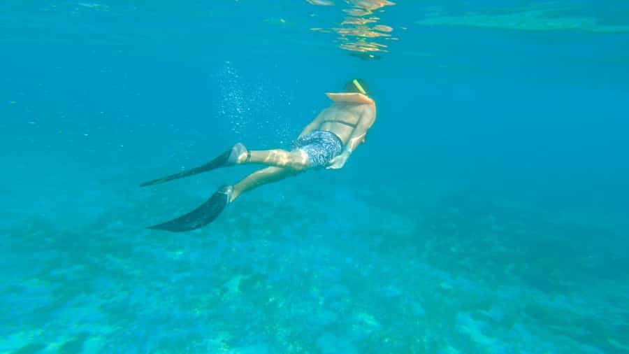 Cancun: Isla Mujeres Full Day Dancer Cruise - A party boat with more room to move