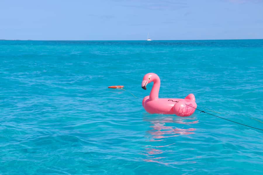 Cancun: Isla Mujeres Full Day Dancer Cruise - Swim, slide, and jump from the boat
