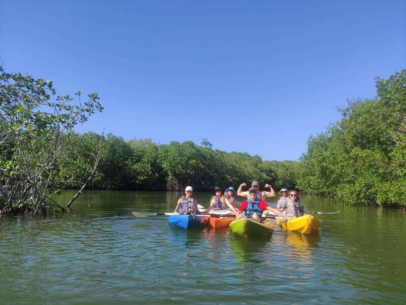 Cancun: Kayaking Tour in Nichupte Lagoon - Wildlife watching in Nichupte Lagoon