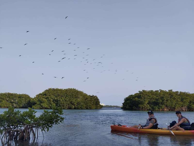 Cancun: Kayaking Tour in Nichupte Lagoon - Morning, midday, or sunset?