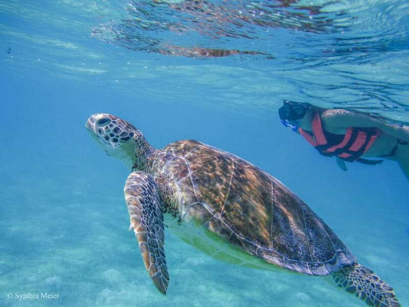 Cancun: Marine Turtle Observation in Akumal - The early ride south from Cancun