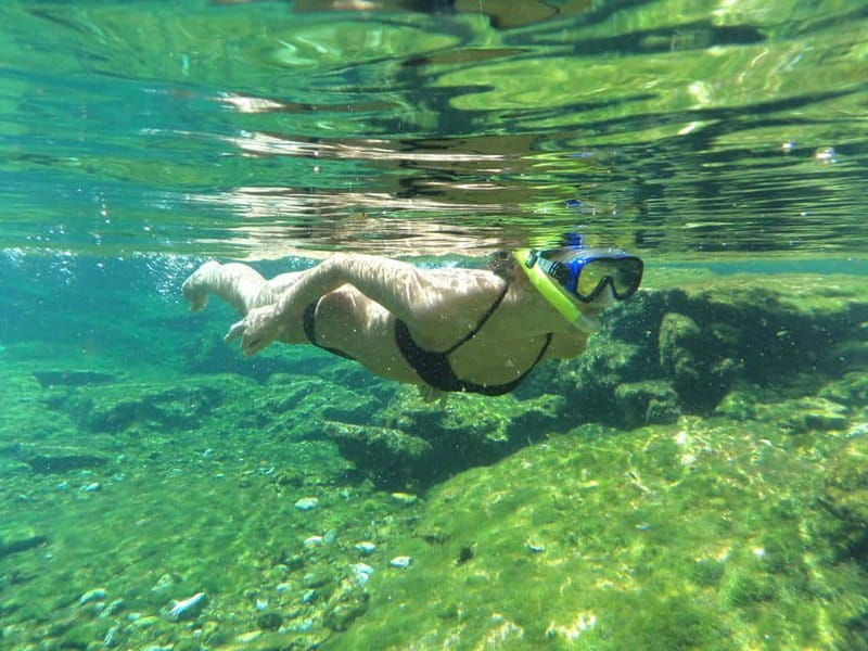 Cancun: Marine Turtle Observation in Akumal - Practical booking details