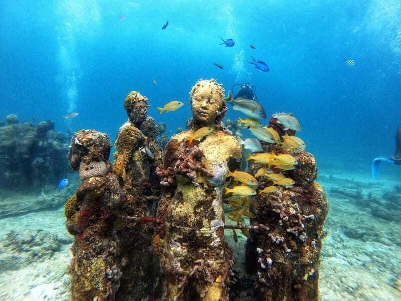 Cancun: Musa Underwater Museum & Reef Discover Scuba Diving - The reef visit and Caribbean wildlife