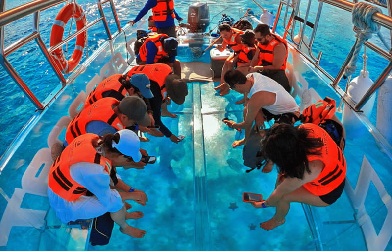 Cancún: Nichupté Lagoon Transparent Boat Tour with Drinks - Ten minutes for photos on the water