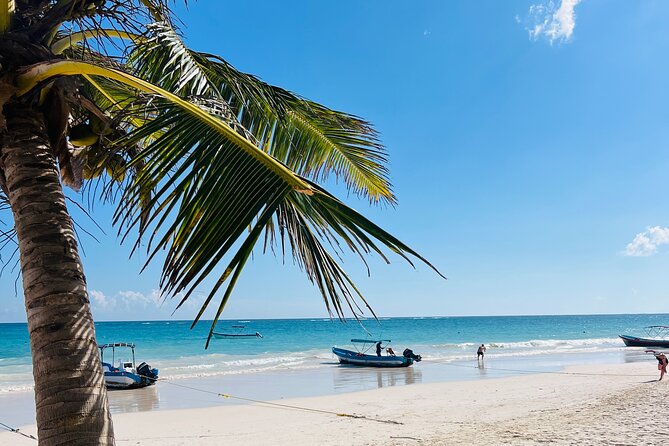 Cancun Private Driver - Building a Day Around Cenotes and Tacos