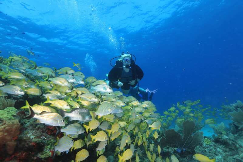 Cancun: Scuba Diving for Beginners, 2 Dives - The pool lesson: gear, breathing, and safety