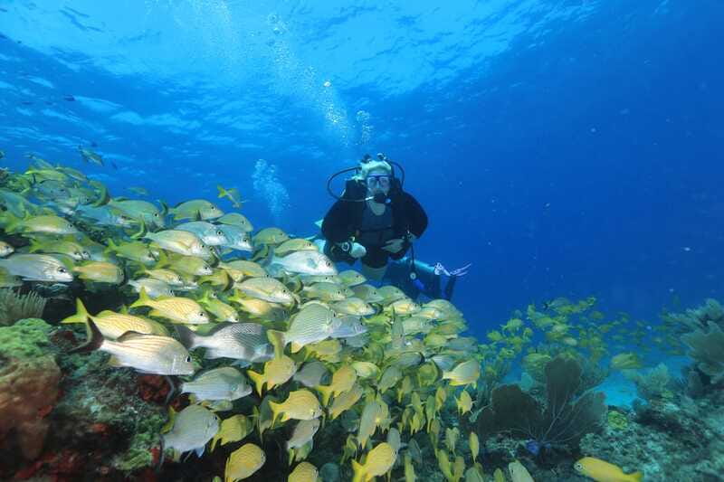 Cancun: Scuba Diving for Beginners, 2 Dives - Boat travel and the first ocean descent at MUSA