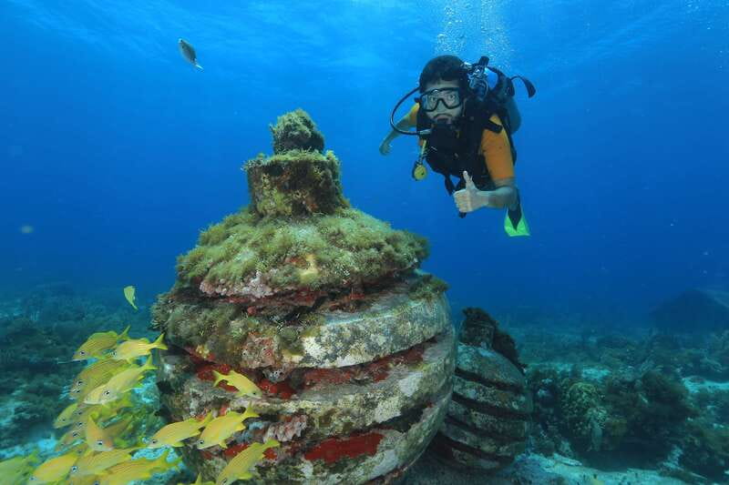 Cancun: Scuba Diving for Beginners, 2 Dives - Arriving at Sotavento Hotel at 8:00 AM