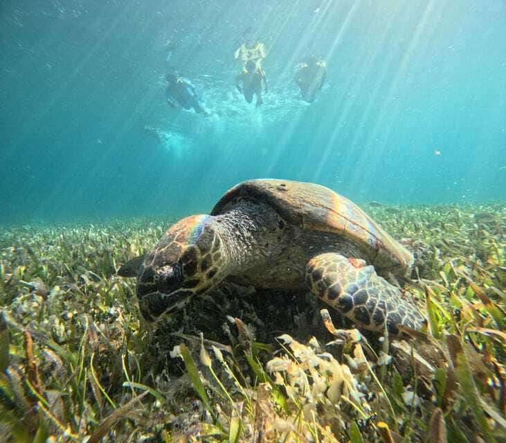 Cancun: Snorkeling Boat Tour with Gear - Equipment, clothing, and the sunscreen question