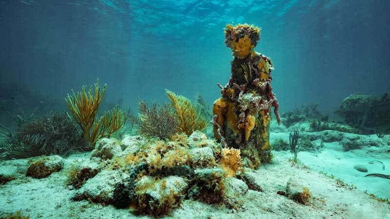 Cancun: Snorkeling Tour at MUSA The Underwater Museum - Why MUSA is more than an ordinary snorkeling stop