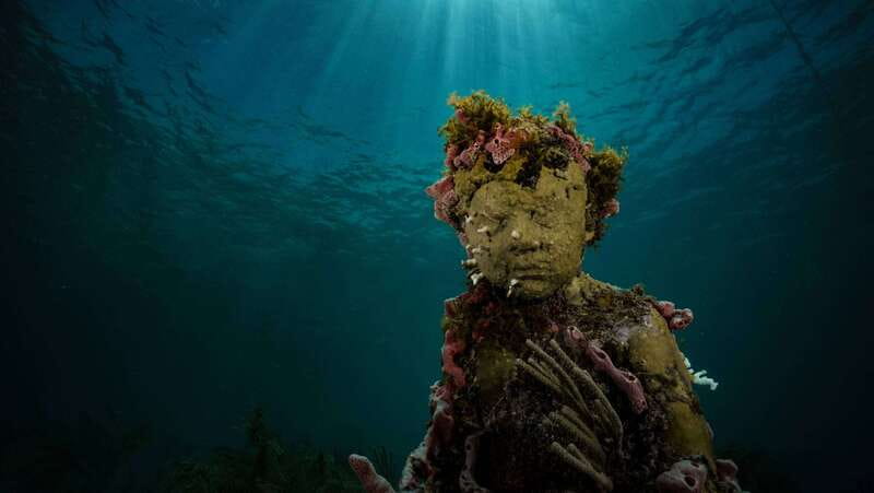 Cancun: Snorkeling Tour at MUSA The Underwater Museum - What happens at the underwater museum