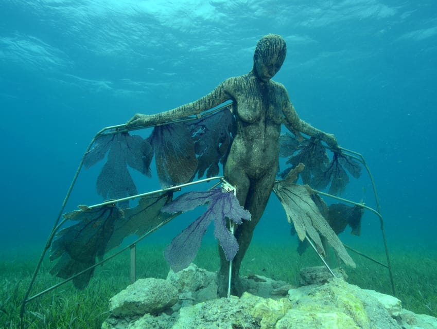 Cancun: Snorkeling Tour at MUSA The Underwater Museum - How the guides handle safety and beginners