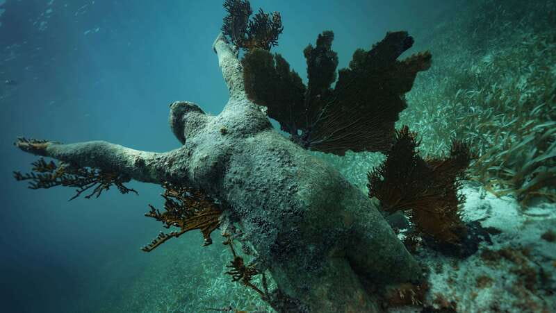 Cancun: Snorkeling Tour at MUSA The Underwater Museum - Is $58 a fair price?