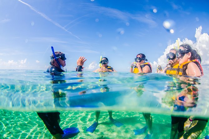 Cancun speedboat and snorkel tour: shared speedboat - Snorkeling at Punta Nizuc