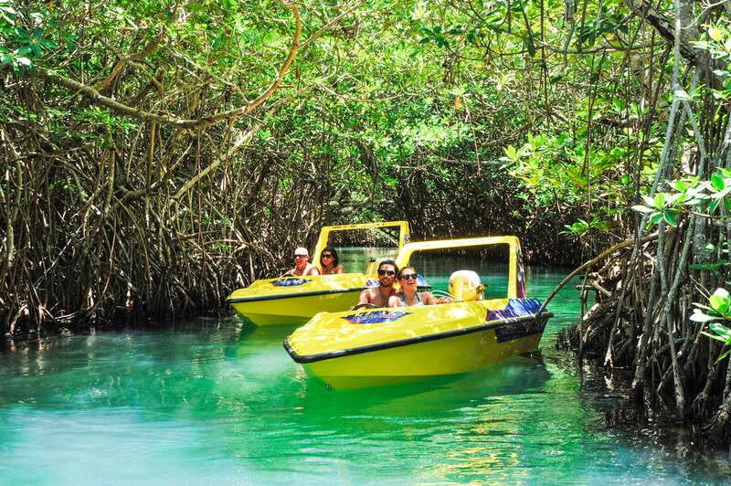 Cancun: Speedboat Mangrove Jungle & Snorkel Tour - Key points to know before booking
