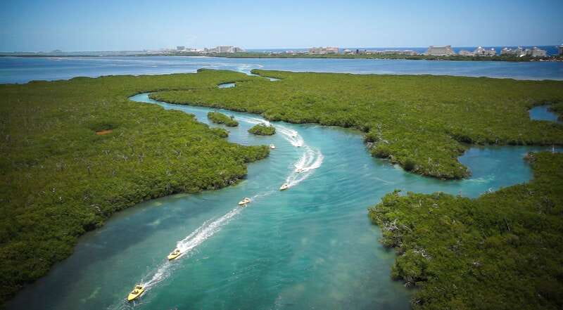 Cancun: Speedboat Mangrove Jungle & Snorkel Tour - What snorkeling at Punta Nizuc is really like