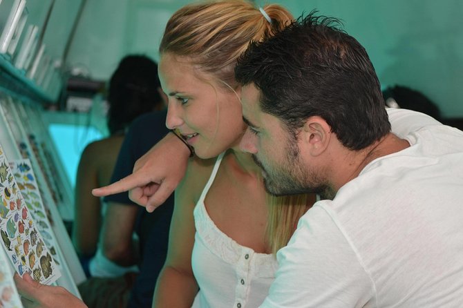 Cancun Submarine and Optional Snorkeling Tour - Seasickness and comfort on the small submarine