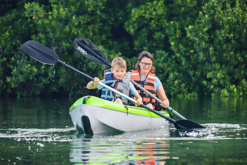 Cancun: Sunset Kayak Experience in the Mangroves - Key details that shape the experience