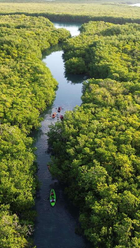Cancun: Sunset Kayak Experience in the Mangroves - Meeting at Marina Scuba Cancun