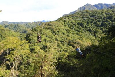 Canopy River Zipline Tour and Mule Ride