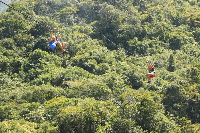 Canopy River Zipline Tour and Mule Ride - Timing, Pickup, and the Details That Can Spoil a Good Day