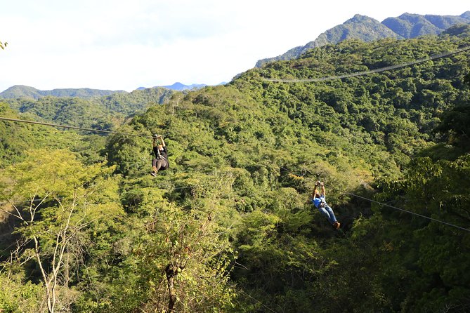 Canopy River Zipline Tour and Mule Ride - What the Zipline Portion Feels Like